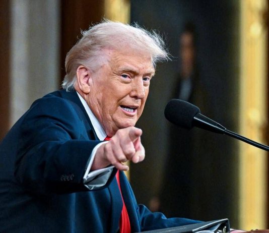 Usa, da Tribunale ok a dazi anche su piccoli pacchi di valore inferiore a 800 dollari