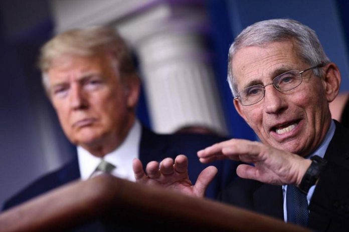 trump_fauci_afp_1304
