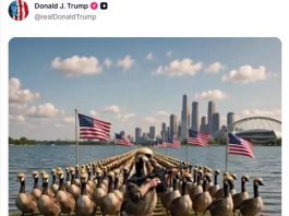 Trump posta esercito di ‘Donald Ducks’, le papere armate a difesa del Lago America