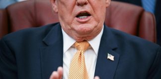 Trump: “L’erba è come gli esseri umani, ha una vita”