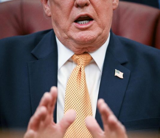 Trump: “L’erba è come gli esseri umani, ha una vita”