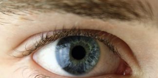 Trapianti: innesto di cornea ad alto rischio, intervento riuscito al Bambino Gesù