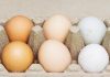 Uova bianche o marroni, quali sono migliori? Ecco cosa dice la scienza