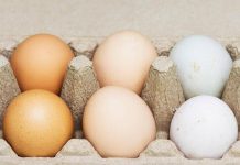 Uova bianche o marroni, quali sono migliori? Ecco cosa dice la scienza