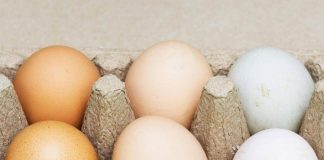 Uova bianche o marroni, quali sono migliori? Ecco cosa dice la scienza