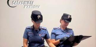 Cinque piante di canapa nel cortile di casa: nei guai un sessantenne