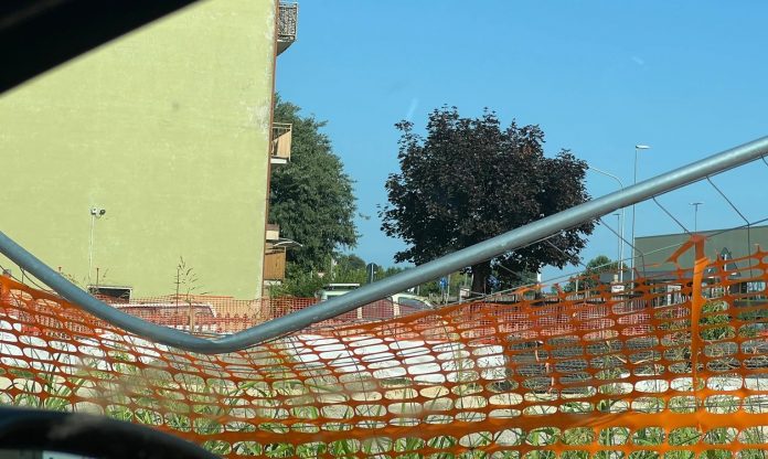 vandalismi bozzolo2