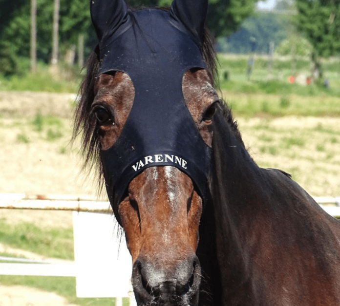 varenne