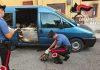 Viadana, pescavano con storditore elettrico: sei denunciati e 985 kg di pesce sequestrato