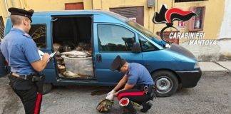Viadana, pescavano con storditore elettrico: sei denunciati e una tonnellata di pesce sequestrato