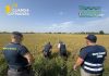 Pavia, maxi frode su riso biologico. Profitti illeciti per 10 milioni dl euro