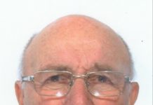 Fernando Fagnani