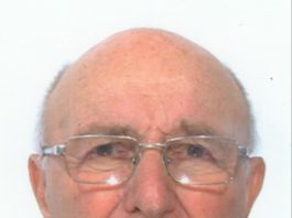 Fernando Fagnani