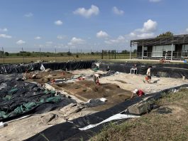 Il Forcello festeggia 20 anni. Penna: “Col nuovo laboratorio avvicineremo i giovani all’archeologia”