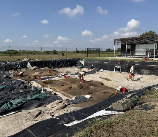 Il Forcello festeggia 20 anni. Penna: “Col nuovo laboratorio avvicineremo i giovani all’archeologia”