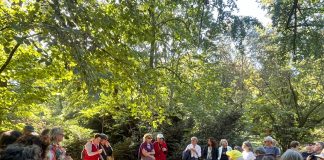 Villa Strozzi si trasforma: arte contemporanea, musica e teatro nel parco storico