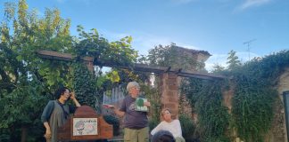 Interno Verde fa il pieno di visitatori: il ritorno in centro premiato dal pubblico