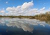 Palude di Ostiglia, un’escursione alla scoperta della biodiversità con la naturalista Valentina Vitali