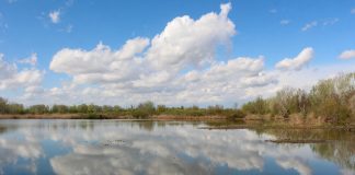 Palude di Ostiglia, un’escursione alla scoperta della biodiversità con la naturalista Valentina Vitali