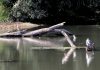 Canneto sull’Oglio, fiume Chiese, paesaggi e memorie nella mostra fotografica