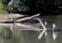 Canneto sull’Oglio, fiume Chiese, paesaggi e memorie nella mostra fotografica
