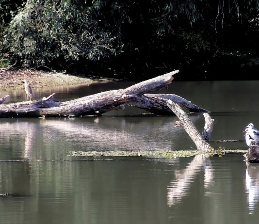 Canneto sull’Oglio, fiume Chiese, paesaggi e memorie nella mostra fotografica
