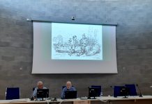 Gonzaga, Pinocchio alla Millenaria: storia, satira e formazione