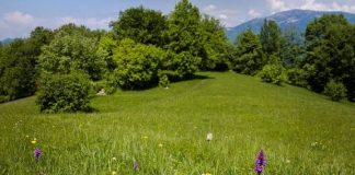 Prati Stabili, Carra (Pd) presenta una proposta di legge per la tutela autentica