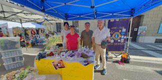 Quistello, i Lions alla sagra con la raccolta fondi per la Casa del Sole