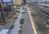 Suzzara, incuria e degrado in stazione: i pendolari protestano