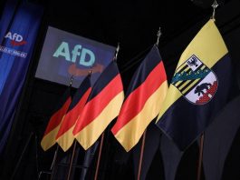 Elezioni in Sassonia, exit poll: Afd trionfa con 44,5% dei voti