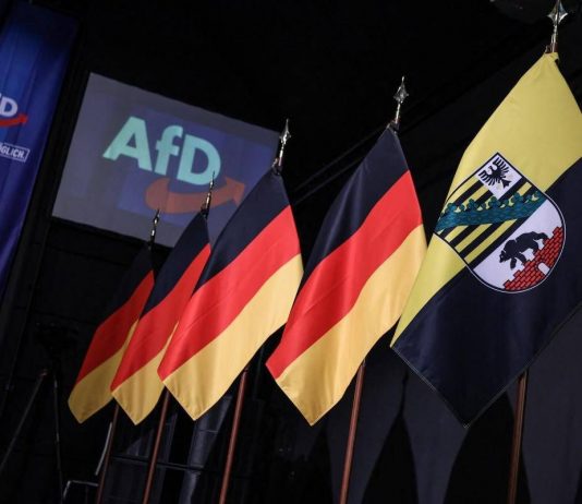 Elezioni in Sassonia, exit poll: Afd trionfa con 44,5% dei voti