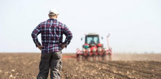 Energia e carburanti, stangata sull’agricoltura. Allarme di Coldiretti Mantova: “I costi ci soffocano”