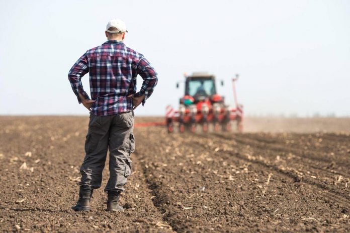 agricoltore_al_lavoro_canva