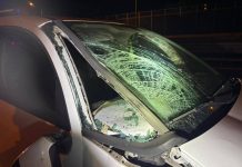 Operaio investito e ucciso su A14, denunciato automobilista positivo all’alcol test