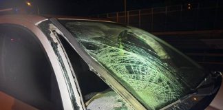 Operaio investito e ucciso su A14, denunciato automobilista positivo all’alcol test