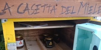 Villimpenta, rubato il miele dalla casetta self service. “L’auto è stata vista, pagate”