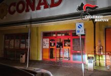 Porto Mantovano, ladri forzano la porta d’ingresso e rubano generi alimentari