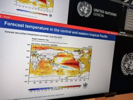 El Niño, l’allerta del governo britannico: “Fate scorta di viveri per sopravvivere”