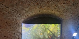 Festivaletteratura, alle Pescherie nasce lo Spazio Rio, open lab per adulti e bambini