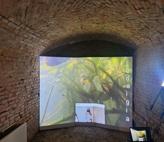 Festivaletteratura, alle Pescherie nasce lo Spazio Rio, open lab per adulti e bambini