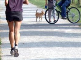 Correre pianissimo fa bene al cervello, lo studio a sorpresa