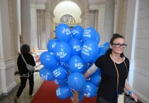 Elezioni Germania, exit poll: AfD avanti in Meclemburgo e Die Linke a Berlino. Cdu crolla