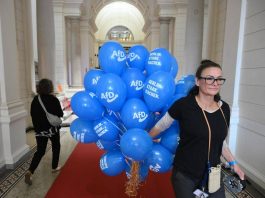 Elezioni Germania, exit poll: AfD avanti in Meclemburgo, Die Linke a Berlino. Cdu crolla