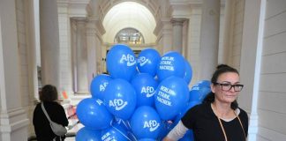 Elezioni Germania, exit poll: AfD avanti in Meclemburgo, Die Linke a Berlino. Cdu crolla