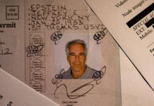 Caso Epstein, anche il pm di Roma indaga sui files. Lapo Elkann: “Mio nome accostato al suo? Inaccettabile”