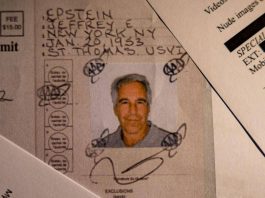 Caso Epstein, anche il pm di Roma indaga sui files. Lapo Elkann: “Mio nome accostato al suo? Inaccettabile”