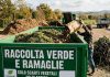 Roverbella, la raccolta straordinaria di tronchi e ramaglie termina domenica 13 settembre