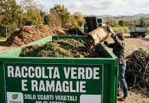 Roverbella, la raccolta straordinaria di tronchi e ramaglie termina domenica 13 settembre