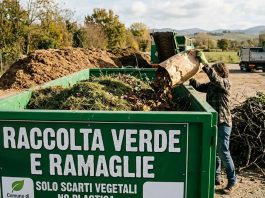 Roverbella, la raccolta straordinaria di tronchi e ramaglie termina domenica 13 settembre
